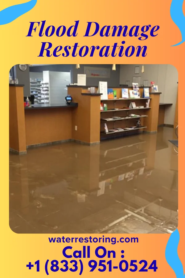 Flood Damage Restoration in Stockbridge, GA