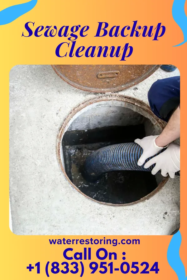 Sewage Backup Cleanup in Stockbridge, GA