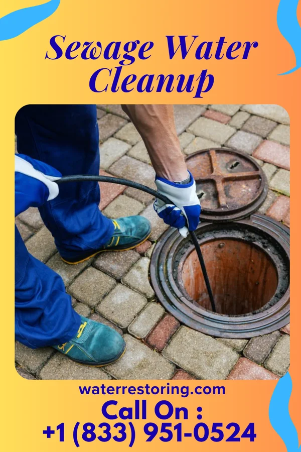 Sewage Water Cleanup in Stockbridge, GA