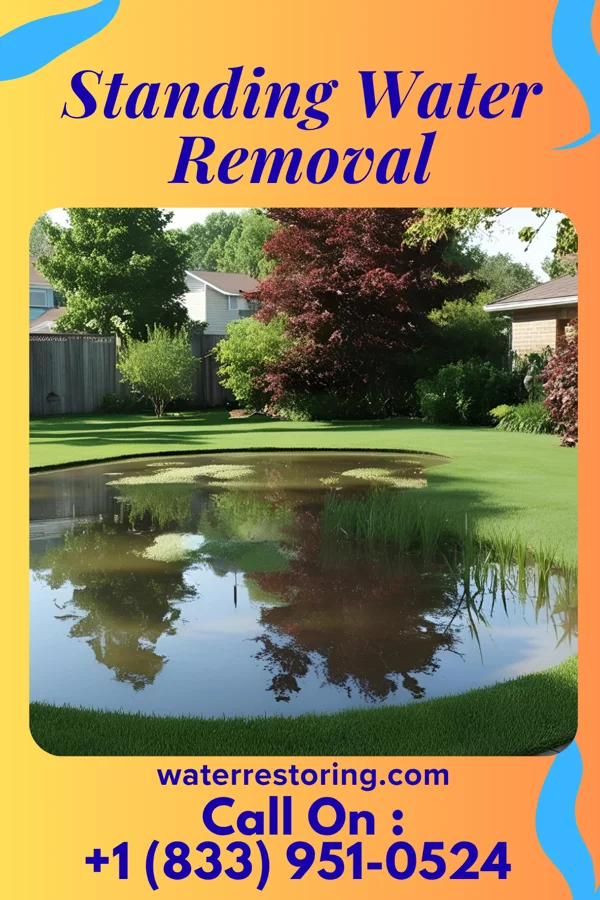 Standing Water Removal in Stockbridge, GA